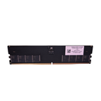 DDR5 32GB 4800MHz CL40 UDIMM Desktop Memory, OEM